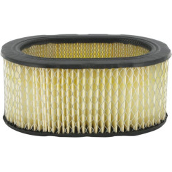 Oro filtras Onan FGP011791