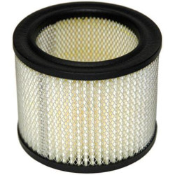 Oro filtras Onan FGP011790