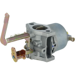 Karbiuratorius LC/GT/R 0001150017