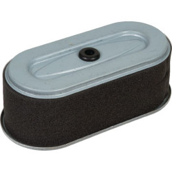 Oro filtras Robin FGP430064