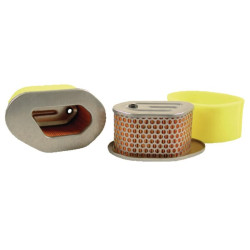 Robin/Wisconsin oro filtras FGP011047