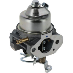 Karbiuratoriaus mazgas SAE10332