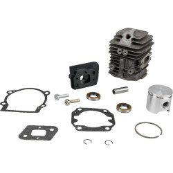 Cilindrų ir stūmoklių komplektas 12165