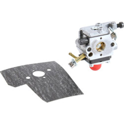 Karbiuratorius + tarpinė 12257