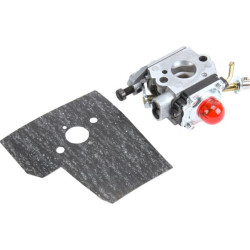 Karbiuratorius + tarpinė 12257