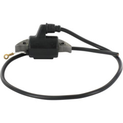 Uždegimo ritė, Solo 0520143