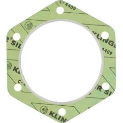 Cilindro galvutės tarpinė 11887