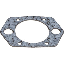 Karbiuratoriaus tarpinė 11908