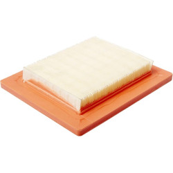 Oro filtras 1319117101