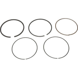 Stūmoklio žiedų komplektas WM14 1185504470