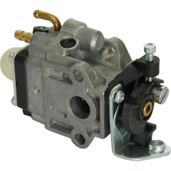 Karbiuratorius 1188015230