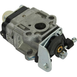 Karbiuratorius 1188015230