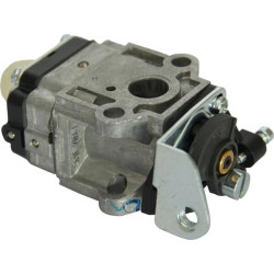 Karbiuratorius 1188015230