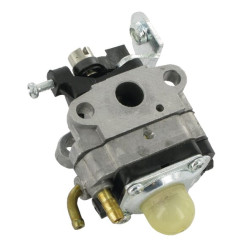 Karbiuratorius 1230540210