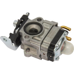 Karbiuratorius 1188020710