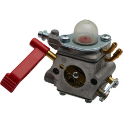 Karbiuratorius 1188040090