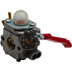 Karbiuratorius 1188040090
