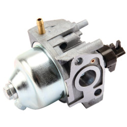 Karbiuratorius RS100 1185506970