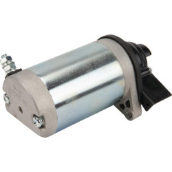 Starterio variklis 1185504011