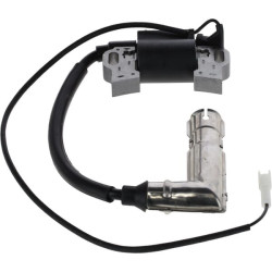 Uždegimo ritė 1185514380