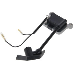 Uždegimo ritė 1188036901