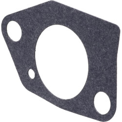 Karbiuratoriaus tarpinė 1185512620