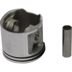 Stūmoklis 11410302003