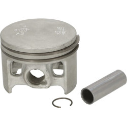 Stūmoklis 11210302001