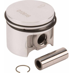 Stūmoklis 41340302019