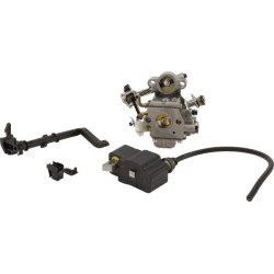 Karbiuratorius 11380071008