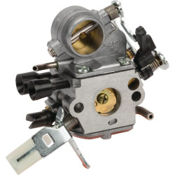 Karbiuratorius 11391200606