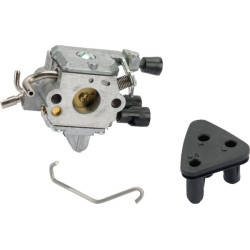 Karbiuratorius 11371200650