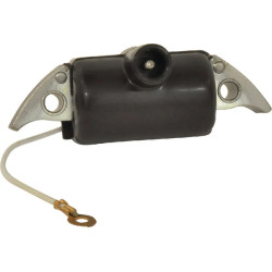 Uždegimo modulis tinka: 038 2204211051KR