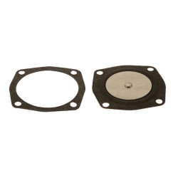 Diafragma ir tarpinė FGP001321