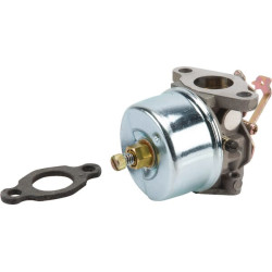 Karbiuratorius tinka Tecumseh 632230KR