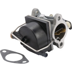 Karbiuratorius tinka Tecumseh 640065KR