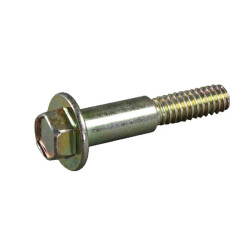 Varžtas Tecumseh FGP010225 FGP010220