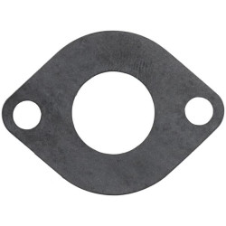 Karbiuratoriaus tarpinė 810780