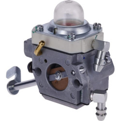 Karbiuratorius pilnas 5100049199