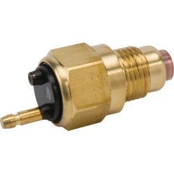 Termo jungiklis - įjungtas 110°c 12125044901YAN