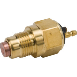 Termo jungiklis - įjungtas 110°c 12125044901YAN