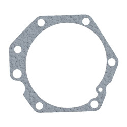 Vandens siurblio tarpinė 11962042021