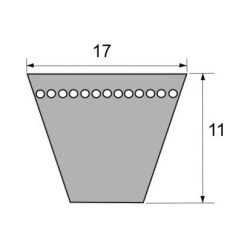 Pavaros diržas B56 VLD4111