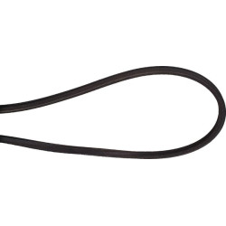 Dvipusis diržas AA131 FGP016432