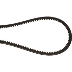 V formos diržas 01181076