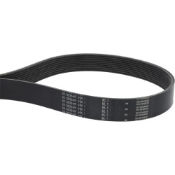 V formos rumbuotas diržas 01183549