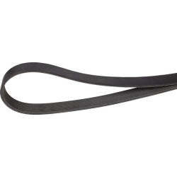 V formos diržas 01183416