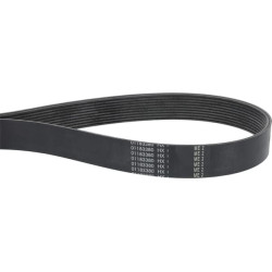 V formos rumbuotas diržas 01183380