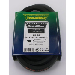 V formos diržas LB56 Mitsuboshi FGP720836