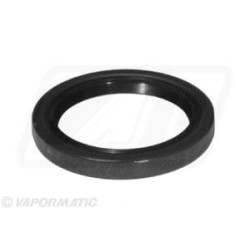 Pavaros diržas V4L0710